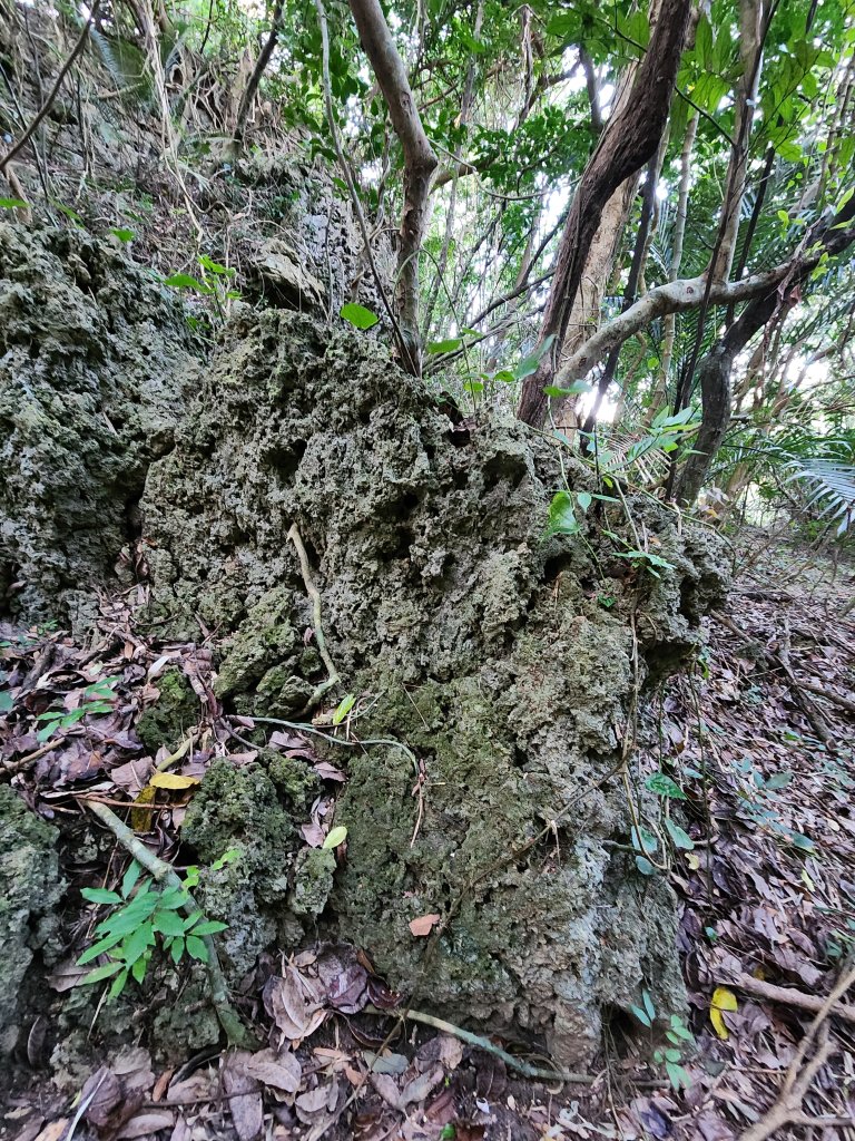 114/1/4國境之南：恆春大縱走_2687250