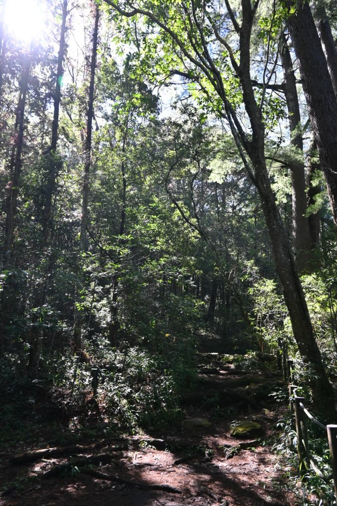 谷關七雄-馬崙山1st_2888291