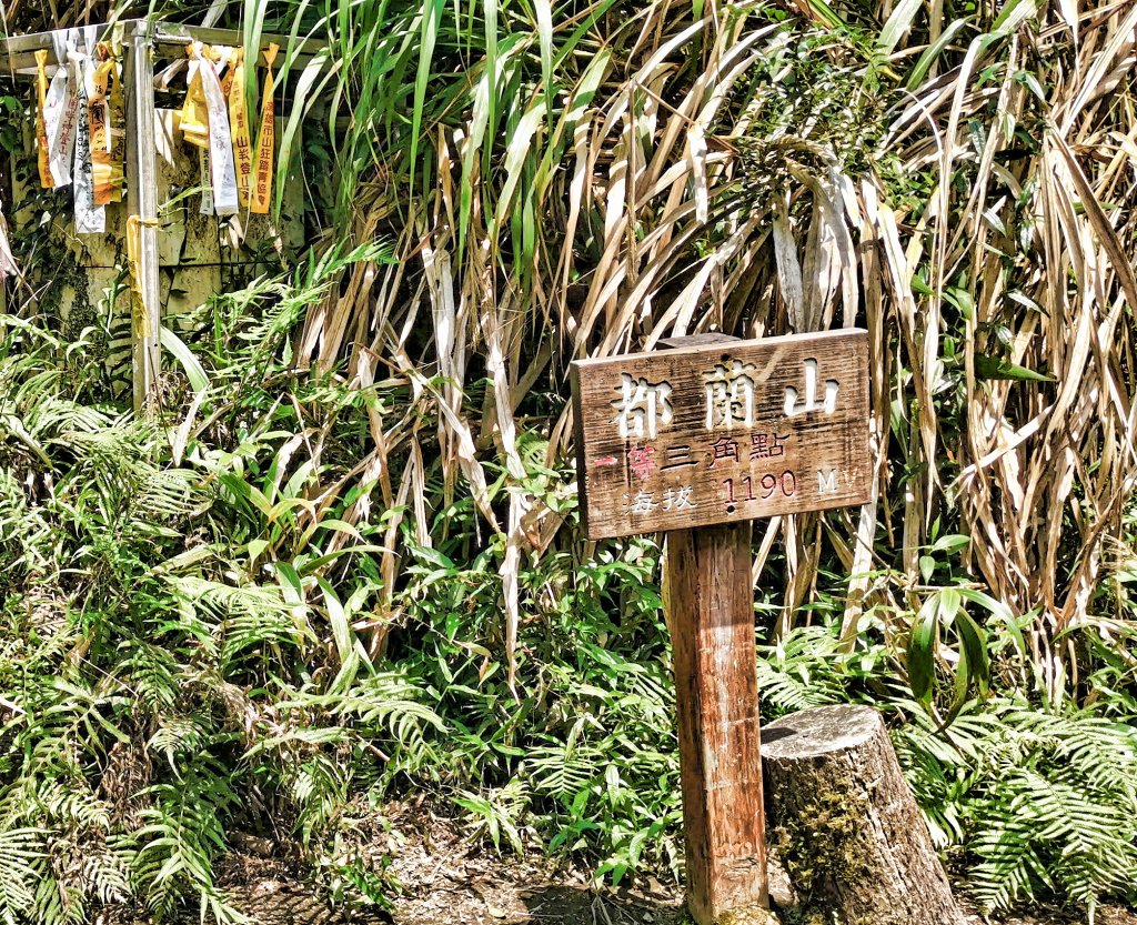 都蘭山-小百岳-編號093封面圖