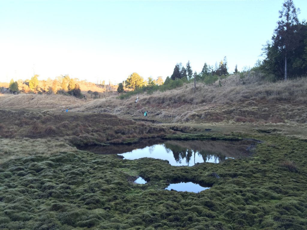 散落的珍珠-加羅湖_565031