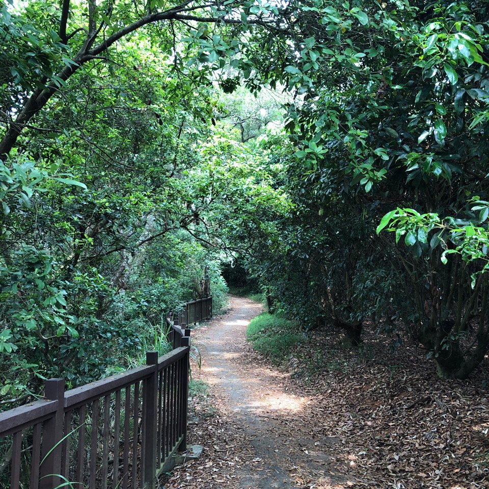 台灣小百岳No.048 橫山_1102133