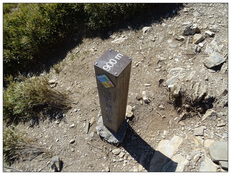 合歡山東峰_1319747