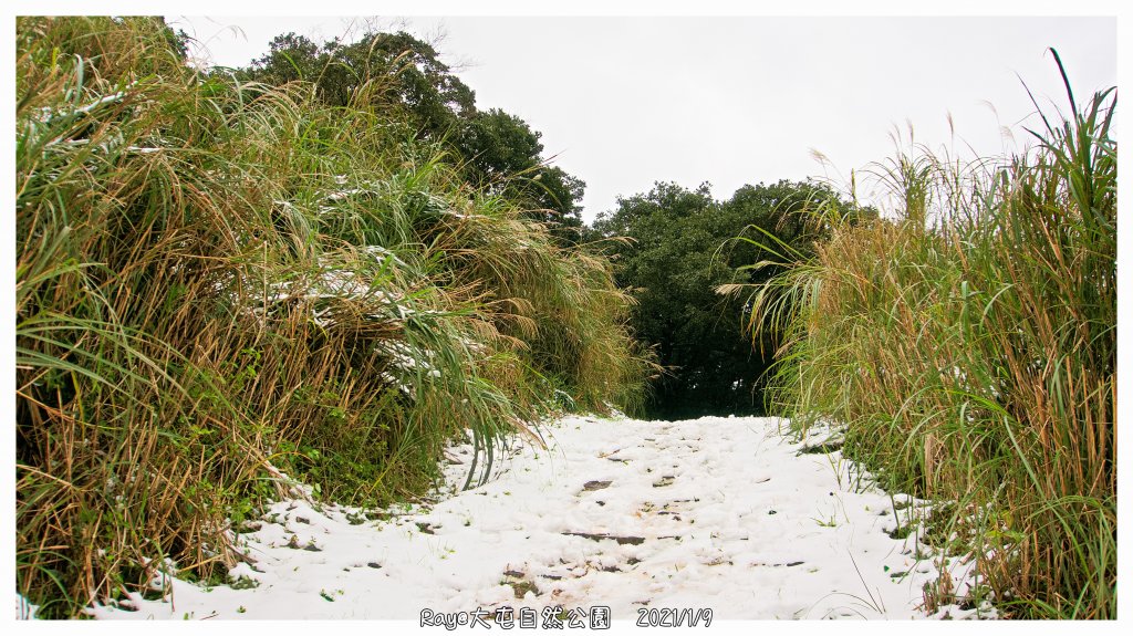 2021 大屯山之雪_1234704