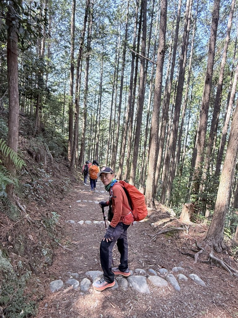 熊野古道中邊路D7 小雲取越 (小口-請川) 2025.3.22_2747216