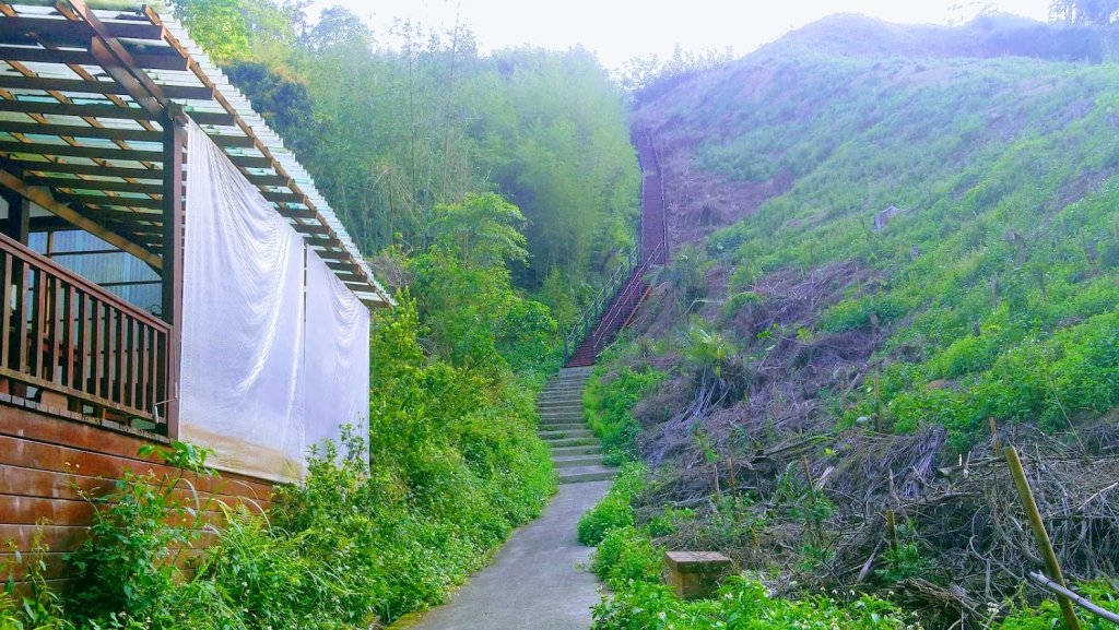 十二寮登山步道_937525