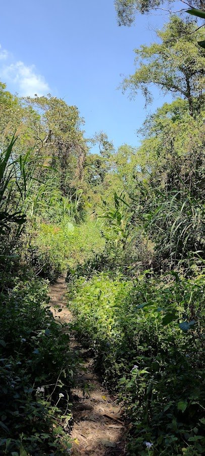 2022 4/5 刣牛湖山_1664143