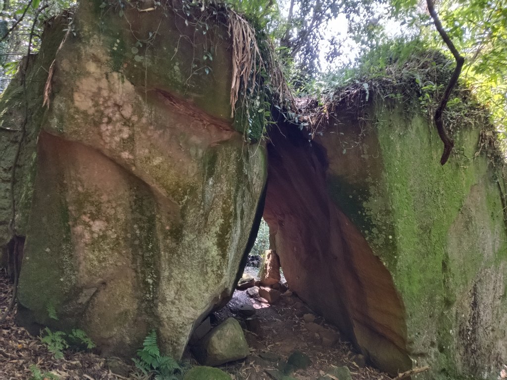 內湖區大丘田保甲路+開眼山+白石湖山+白石湖山東峰+大邱田山+消防山O型封面圖