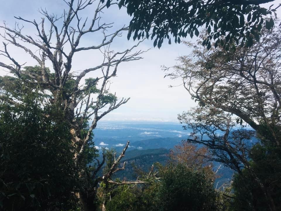 無名山、大坪山、加里山8字走、雲海看到飽_1924802