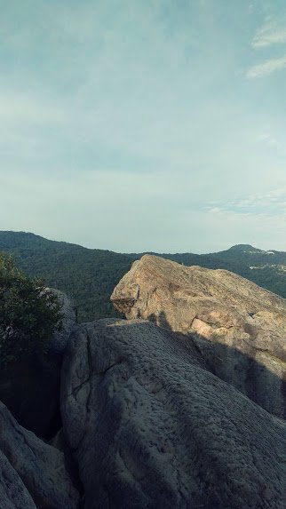 2020 1/22 金面山 _853917