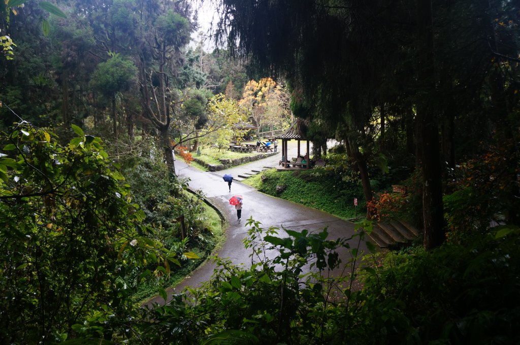 溪頭自然教育園區_2016905