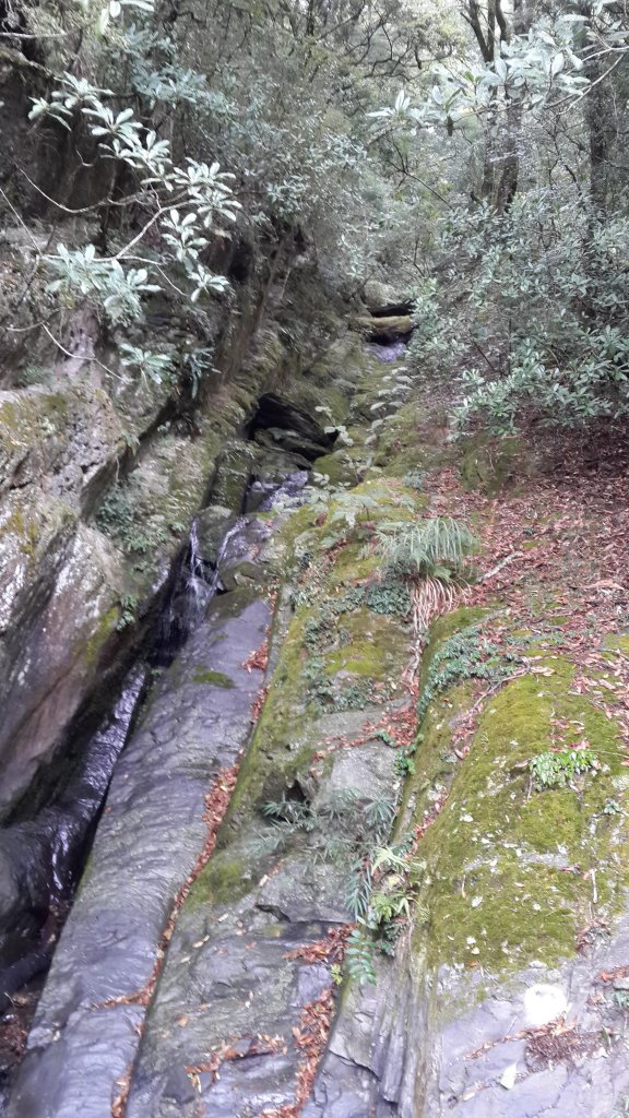 20181101~03 大霸群峰_452934