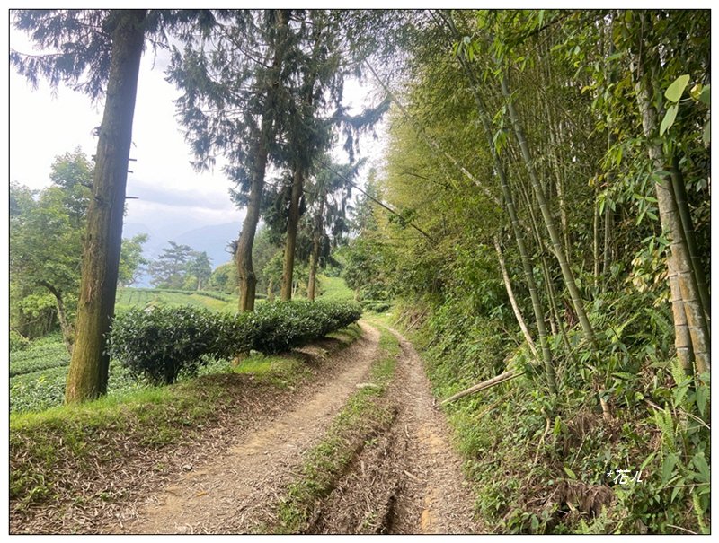 巴蜈縱走 (27.6K一日長征)_2780333