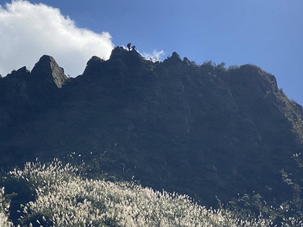 2023/11/23 茶壺山 半平山 燦光寮山 O繞_2389156