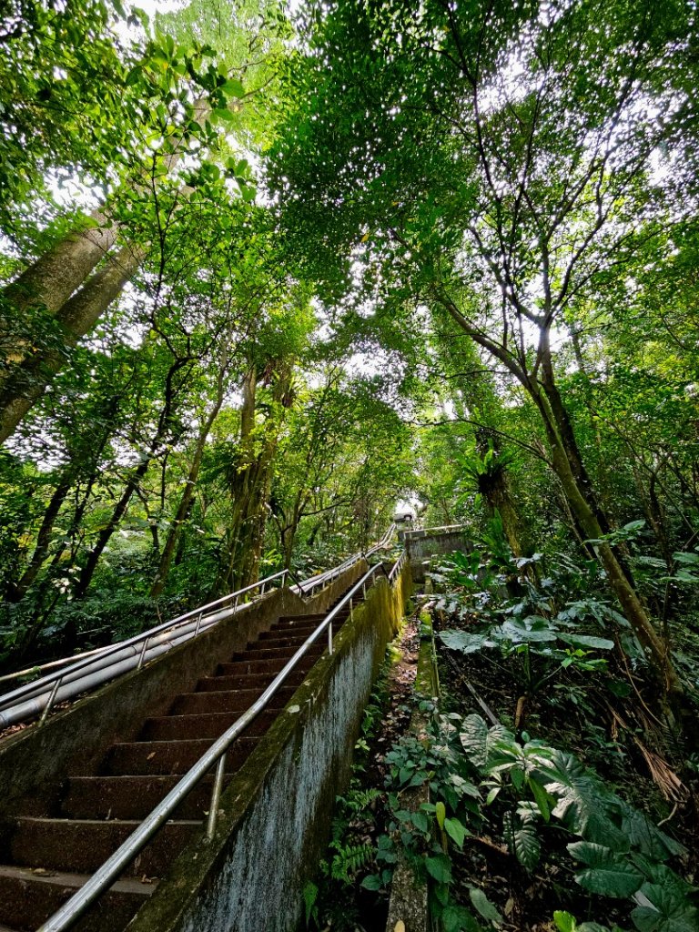 2025年臺北大縱走第七段：世界山莊至飛龍步道政大後山_2757362