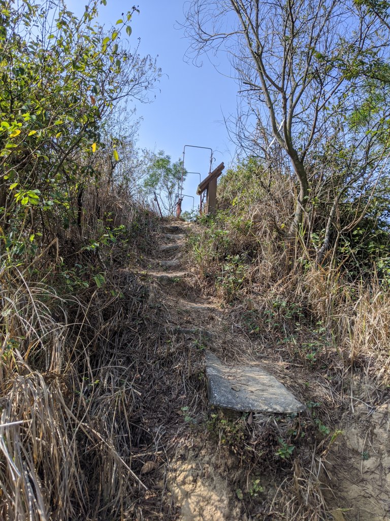 【高雄-小百岳】觀音山_稜線連峰O型縱走_796640