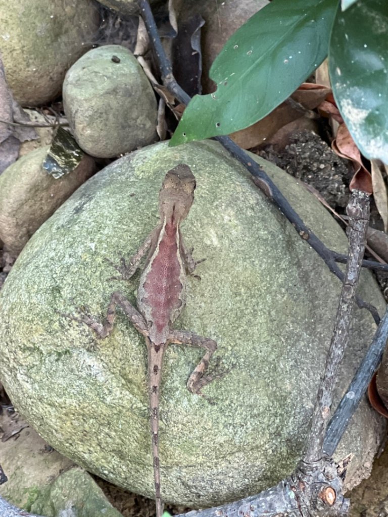 火炎山之旅_1775192