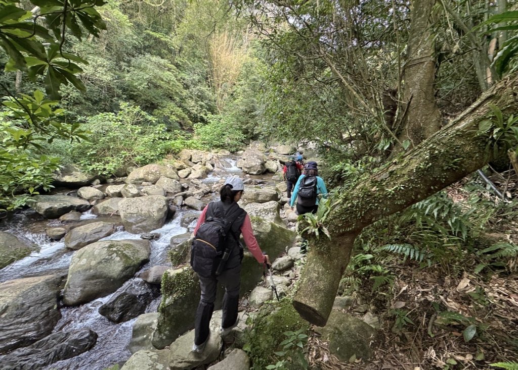 登峰古圳訪高頂山 北五指山 出荷蘭古道 快閃聖人瀑布_2982306