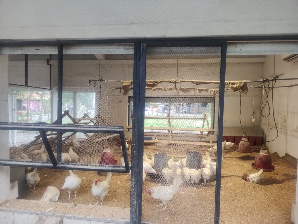 台北動物園_2664061