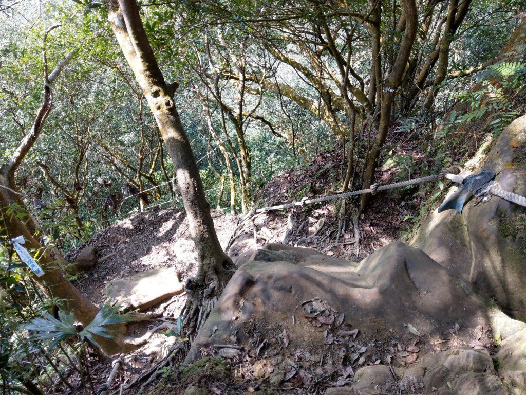 草湳登二格山(小百岳)經猴山岳下指南宮_820116