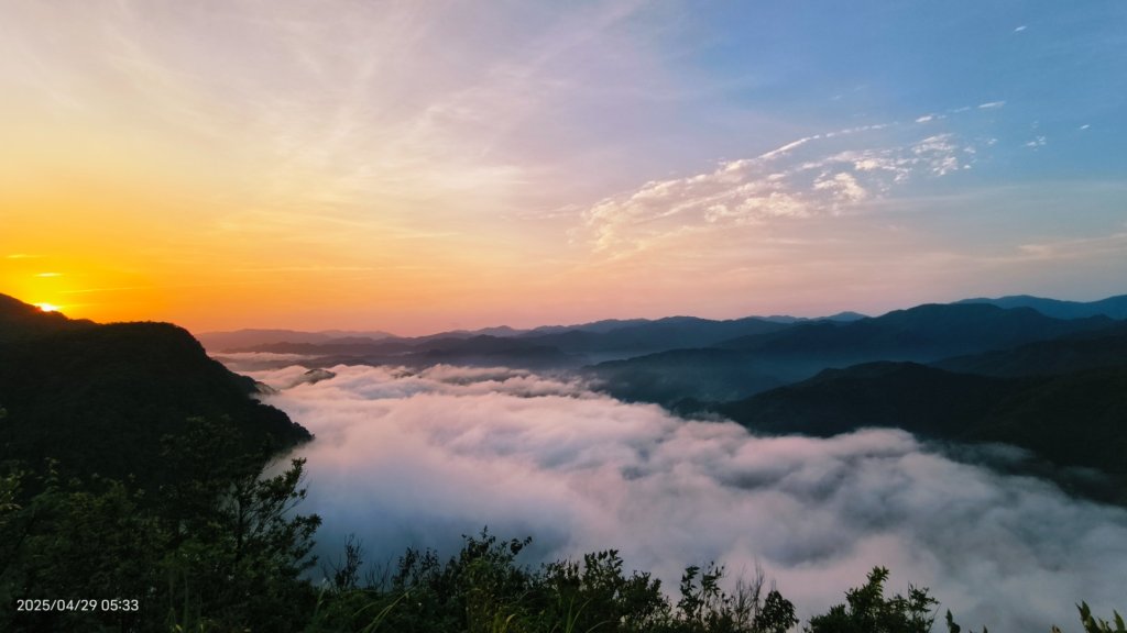 翡翠水庫壩頂 #火燒雲雲海 #日出雲海 #鱷魚島 #藍腹鷴 4/29_2772700
