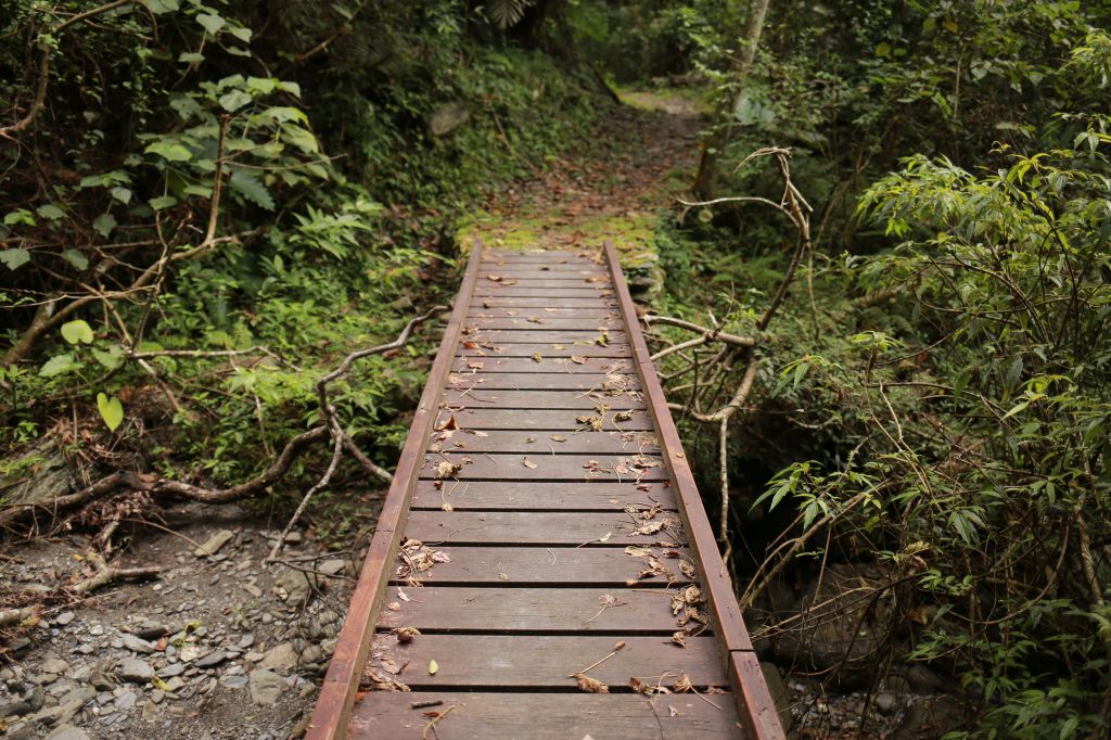 八通關越道：鹿鳴吊橋_169765