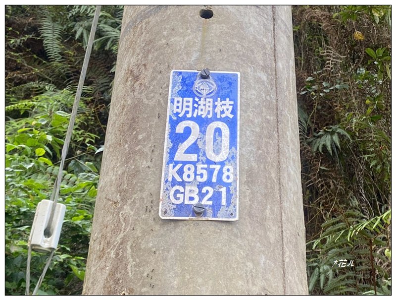 阿里眉山 (日月潭四姝的么妹)_2753051