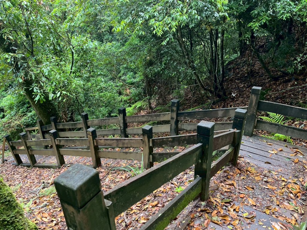 新竹 五峰 觀霧國家森林遊樂區 觀霧瀑布步道+賞鳥步道_2811428