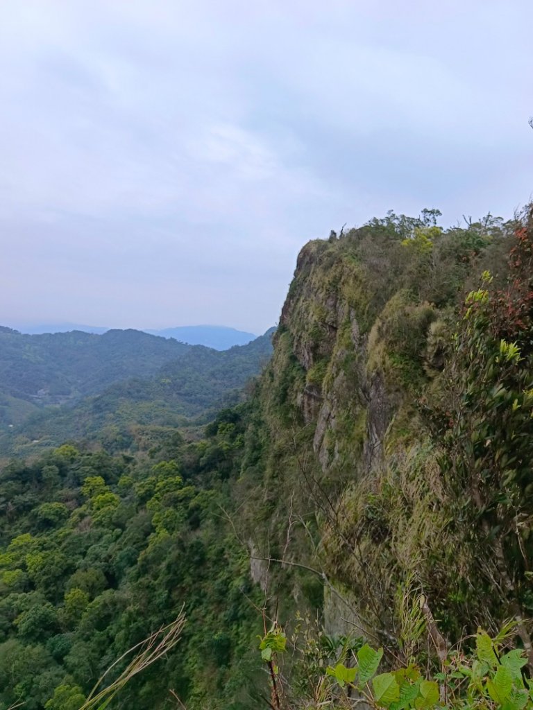 苗栗關刀山/關刀山西北峰（全線打通）_2039985