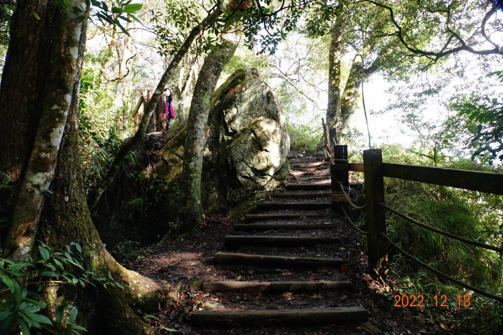 苗栗 泰安 馬那邦山、細道邦山_1960869