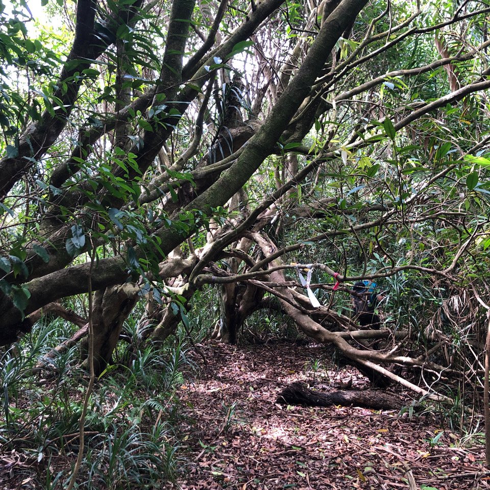 畝畝山、青林山、石古井、石硿子瀑布、石硿子古道O走_1492750