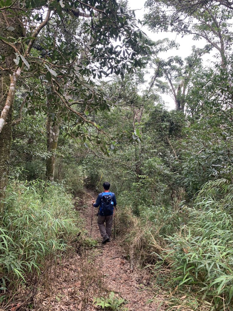 山上人家→鵝公髻山 原路折返_689328