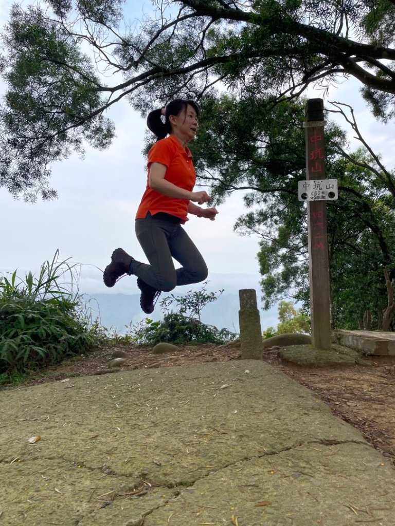 飛鳳山之中坑山封面圖