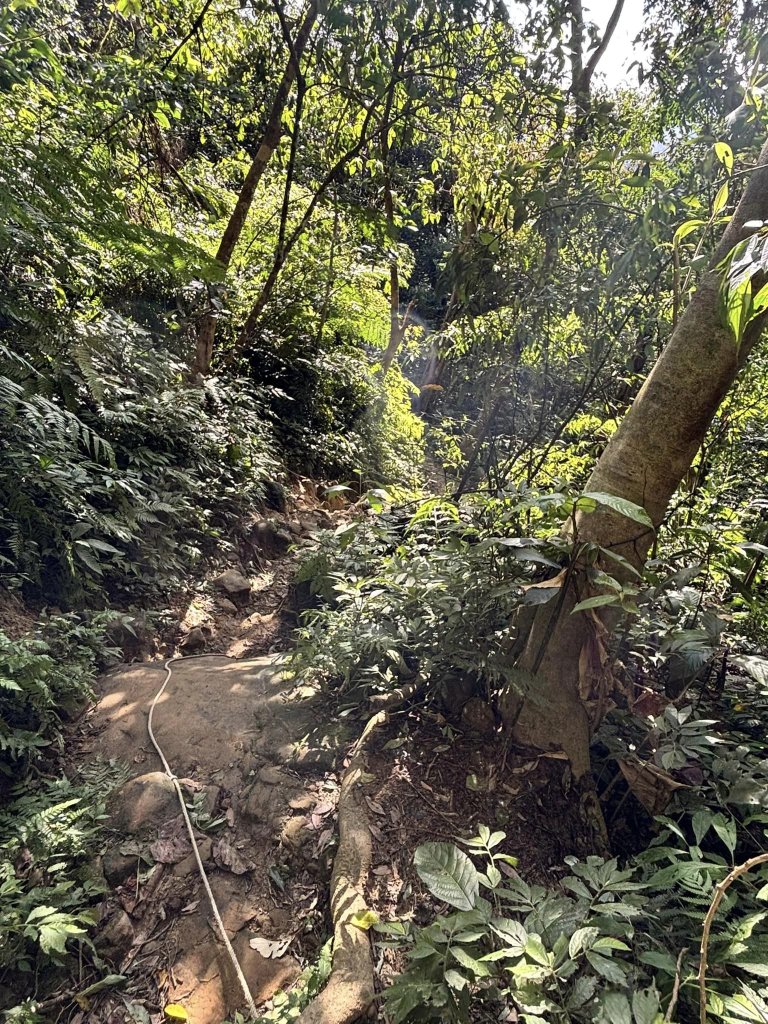 20241104關西石牛山左上左下_2642830