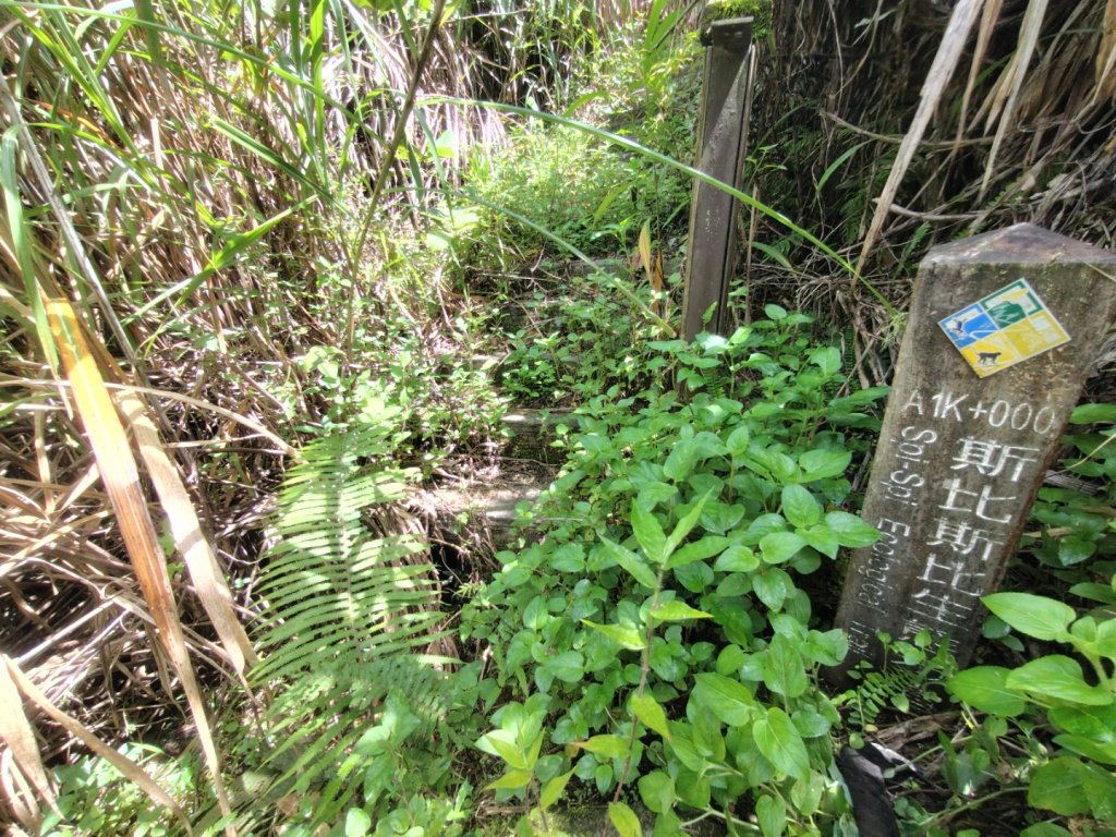 廢棄的步道_2531837