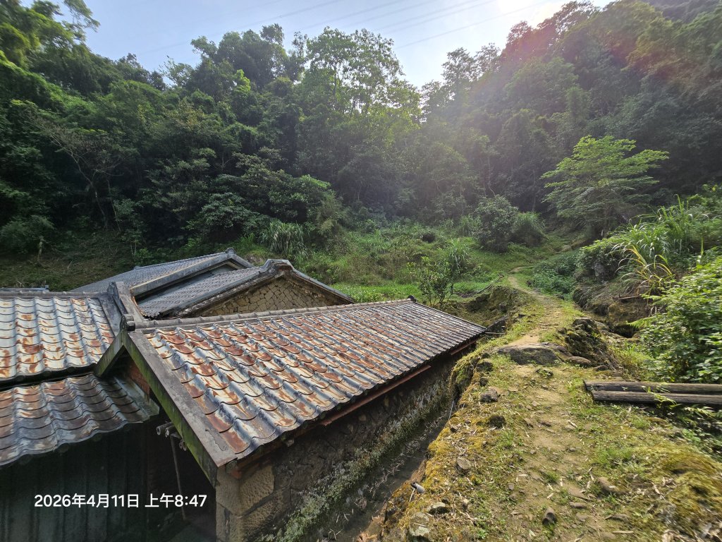 2026-04-11微笑山線：【二格山系】筆架連峰段_3034556