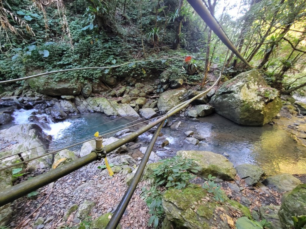 20231118 南插天山 魯培山 山毛櫸秘境_2355731