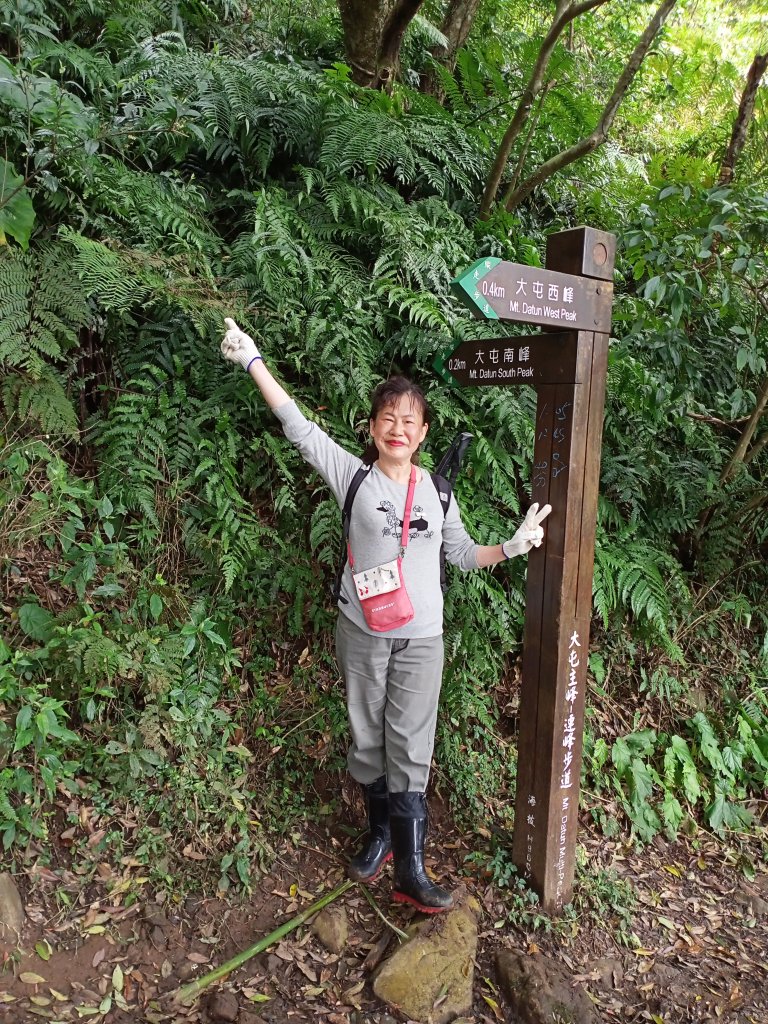 【臺北大縱走 2】鞍部→大屯群峰→清天宮_1276363