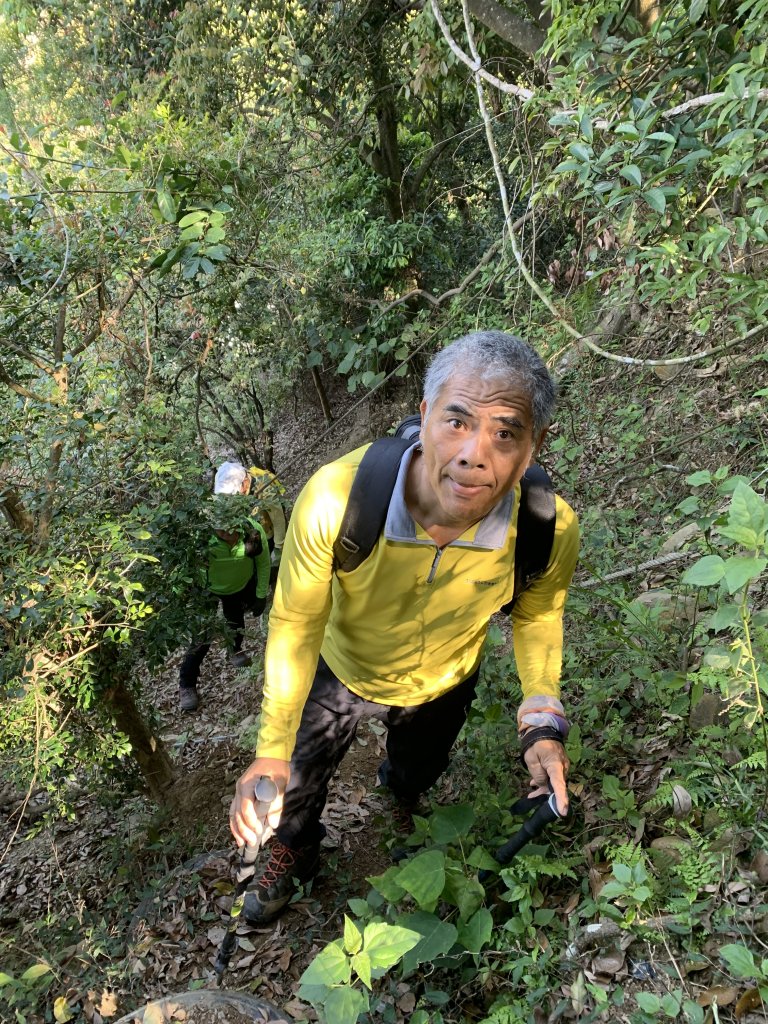 20250322南投松柏坑山-大棚山_2745842