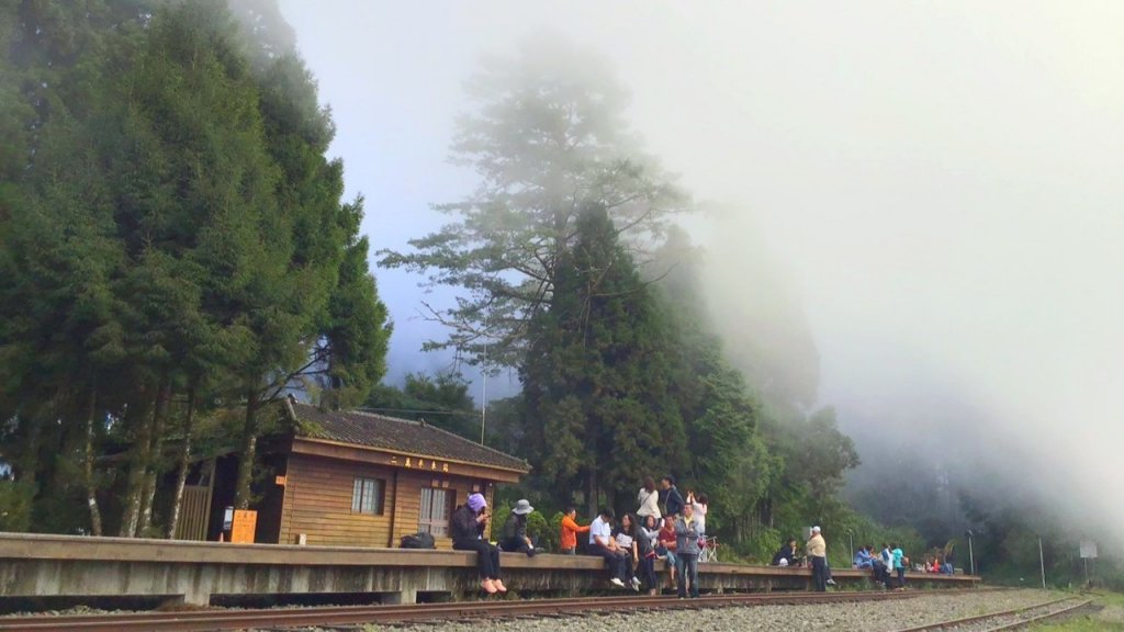 【阿里山私房景點】二萬平車站@夕陽 雲海_691554