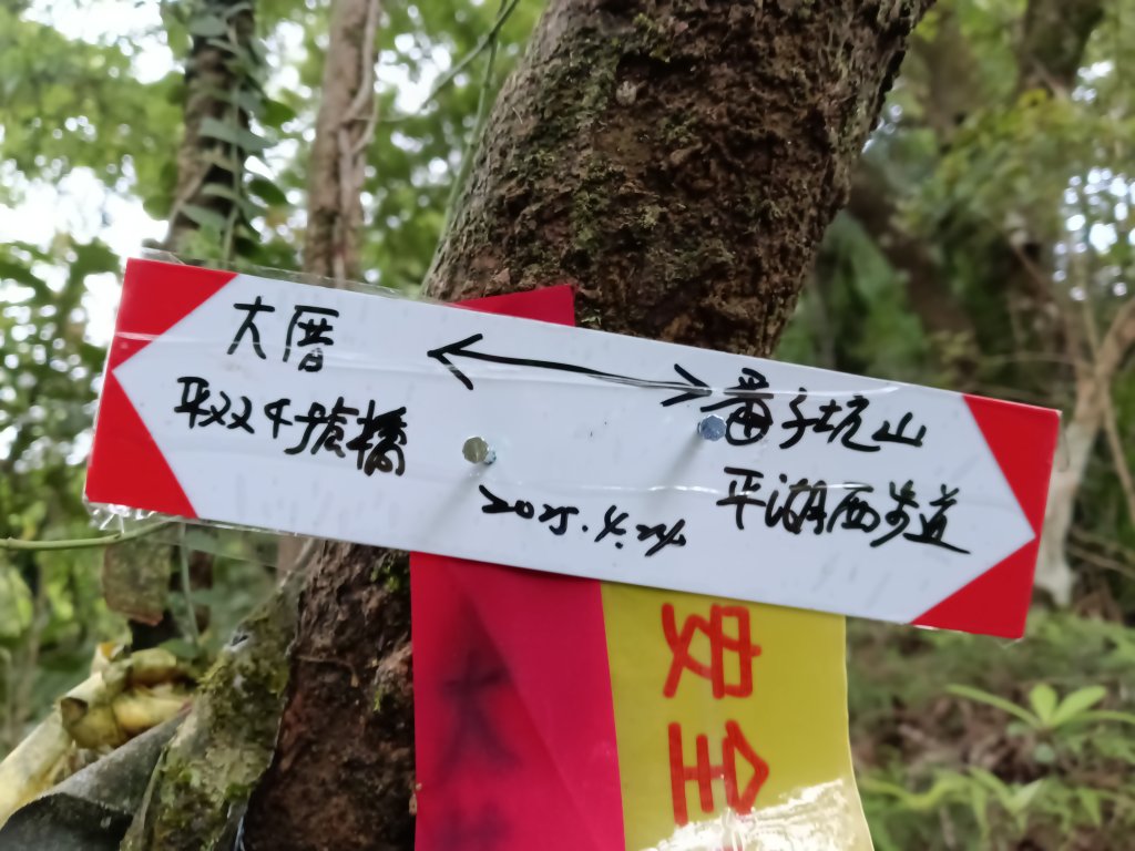 平溪區三功大厝+番子坑山+千階嶺步道O型_2781107