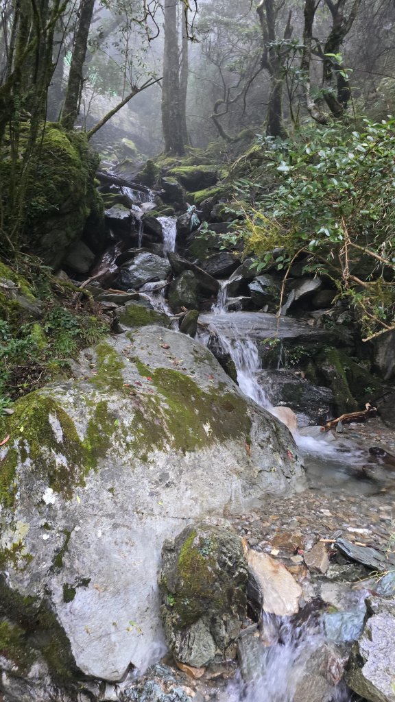 20241124-1130 南二段10座百岳_2665272