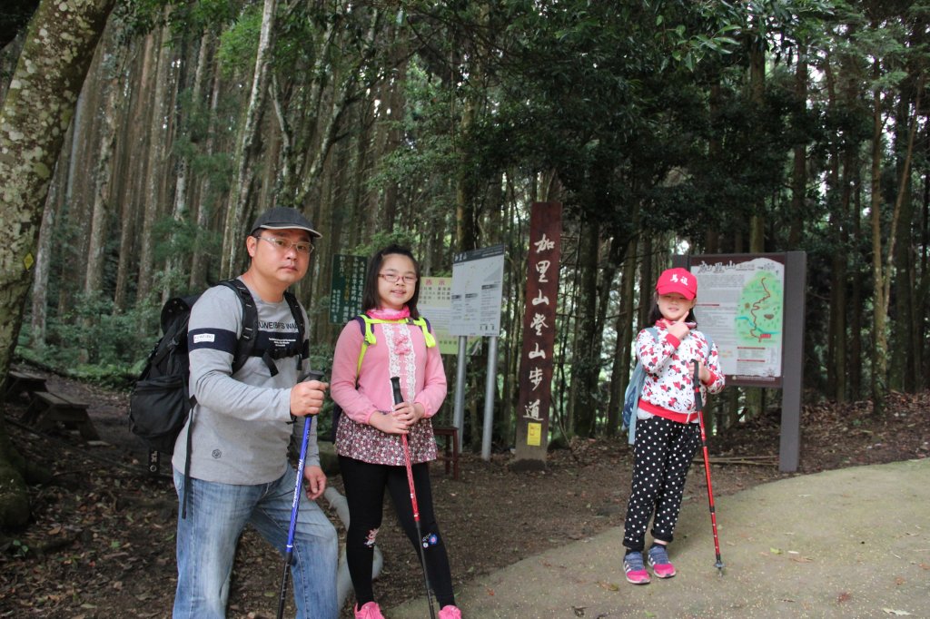 加里山封面圖