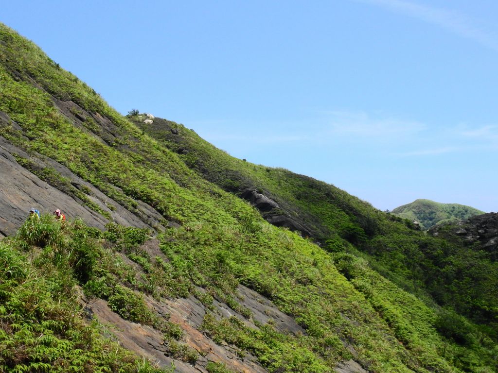 半平溪小錐麓_352610