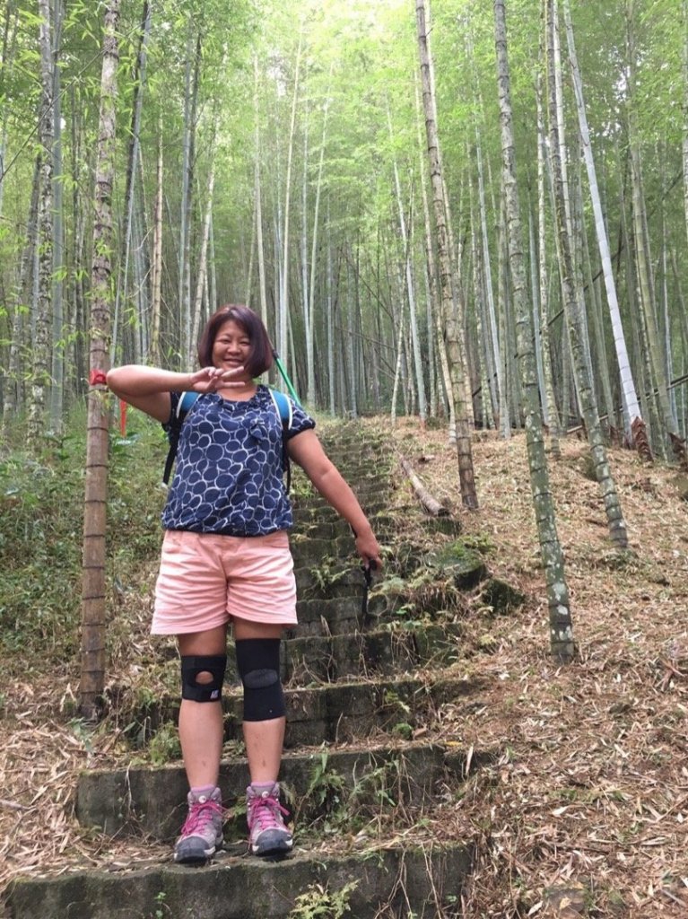 大崙山後之賞銀杏_470210