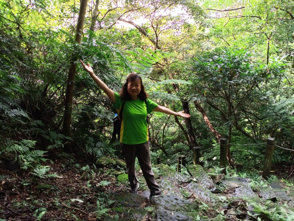 【山系野遊】汐止大尖山-茄苳古道秀峰瀑布_1119002