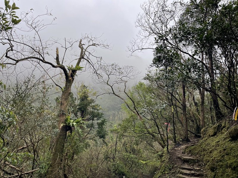 猴山坑古道_2706753