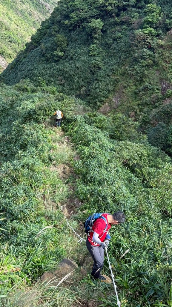 新北 瑞芳 禮樂-保羅尖-雙鬼小霸尖-石梯坑山-半屏瀑布-小錐麓-水管隧道-香巴拉隧道-半屏溪-禮樂_2955551