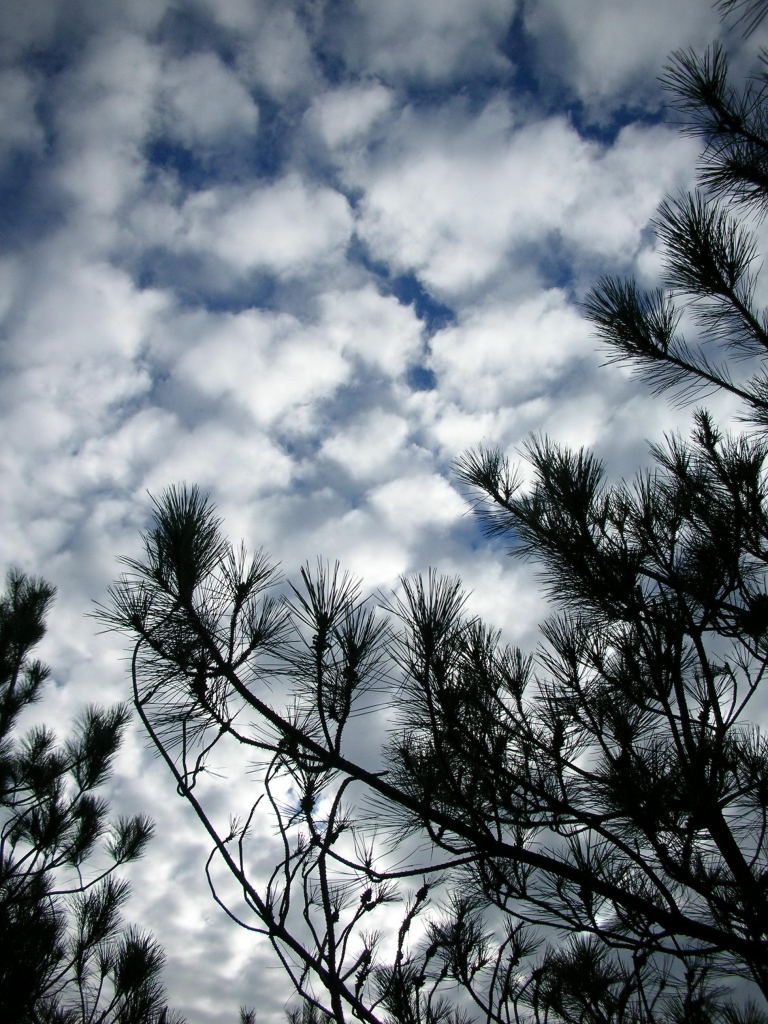 山岳之美-菜鳥人甝��9� 9. 9n�y��[ 0_6491