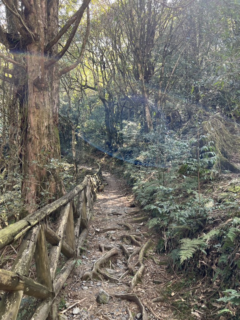 小百岳-稍來山_2752446