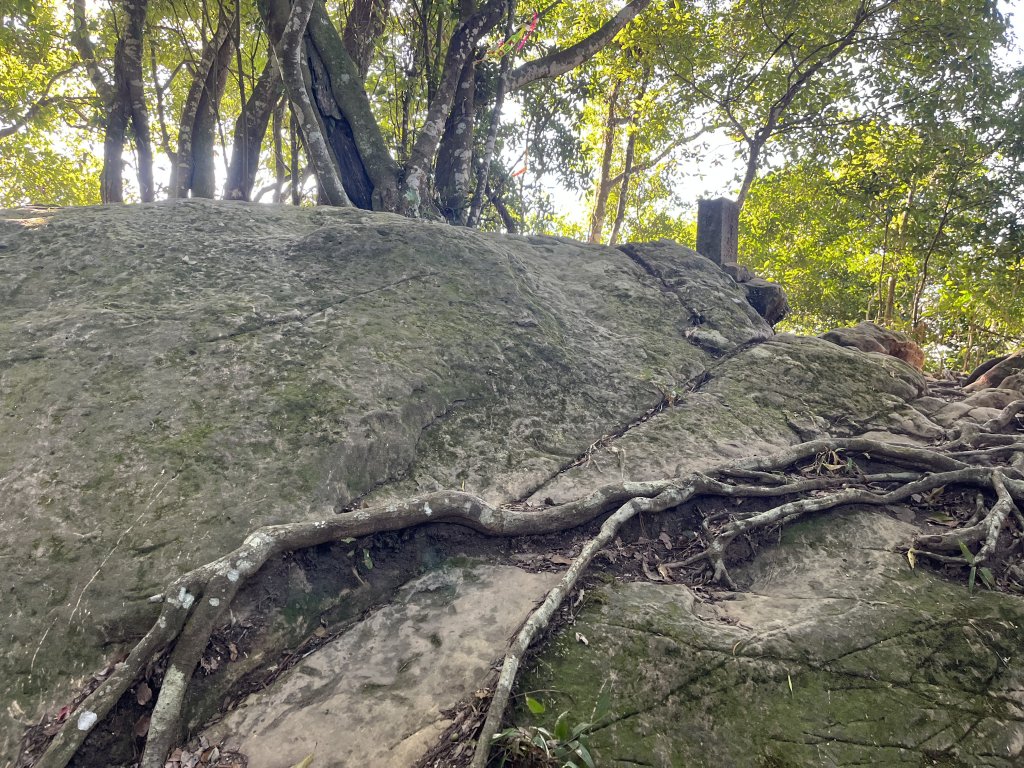 [森遊竹縣-10A/10] 2023_1112 東獅頭山_2347220